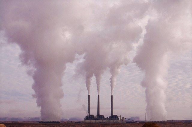 Le rôle obésogène des polluants et perturbateurs endocriniens